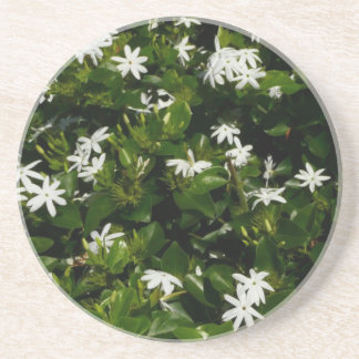 Posavasos Jazmín Flores Tropicales Florales Botánicas