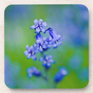 Posavasos Jazmines azules flor Coaster