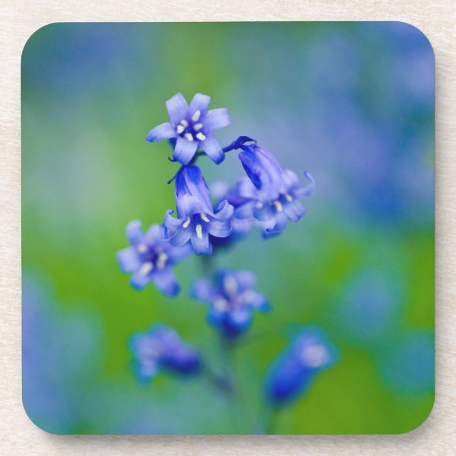 Posavasos Jazmines azules flor Coaster (Frente)