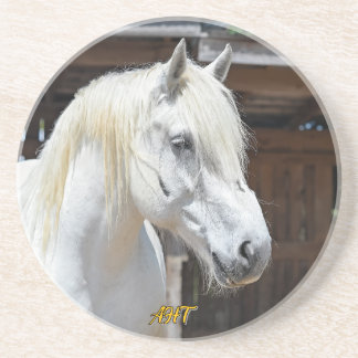 Posavasos Jilly Horse Rescue