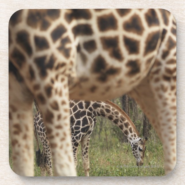Posavasos Jirafas 2 (Frente)