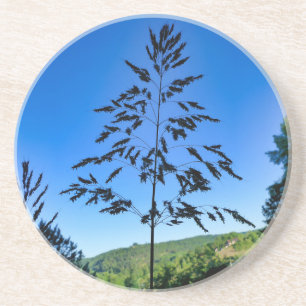 Posavasos Johnson Grass