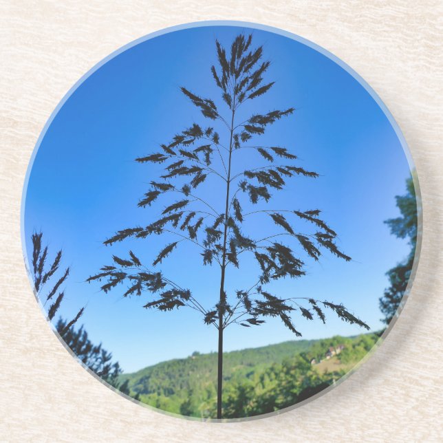 Posavasos Johnson Grass (Frente)