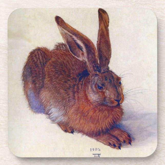 Posavasos Joven liebre de Albrecht Durer, Bella Artes del Re (Frente)