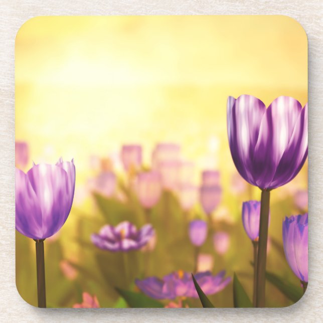 Posavasos Jubilee Purple Cork Coasters (Frente)