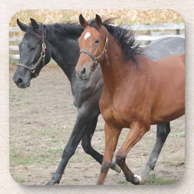 Posavasos Juego de caballos (Frente)