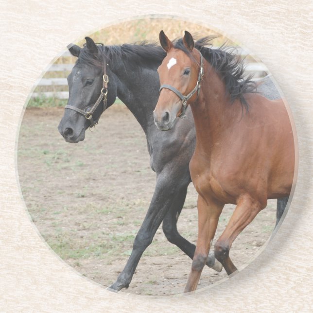 Posavasos Juego de caballos (Frente)