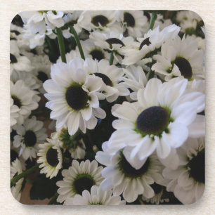 Posavasos Juego de escayola de plástico duro - Daisises en b