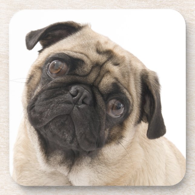 Posavasos Juego de montaña para tomar cócteles Pug Puppy Dog (Frente)