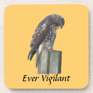 Posavasos Juego de montaña rusa - Halcón - Vigilante de siem