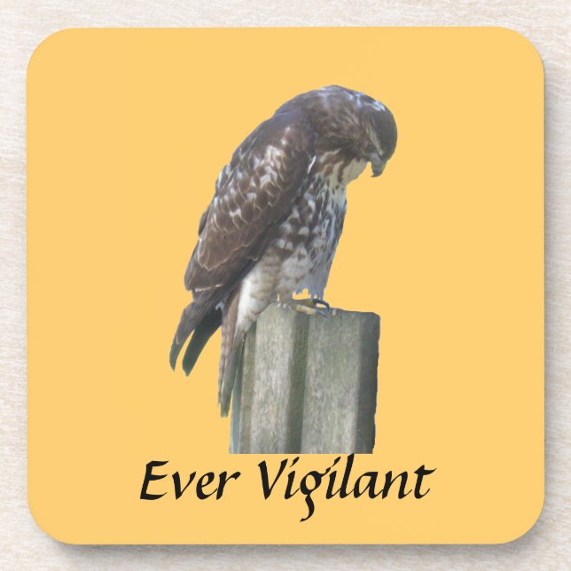 Posavasos Juego de montaña rusa - Halcón - Vigilante de siem (Frente)