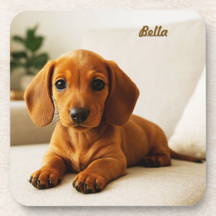 Posavasos Juego de Pascua Personalizado de Dachshund