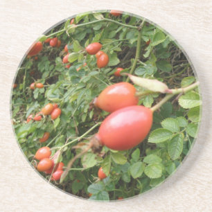 Posavasos Juicy Red Rose Hips Coasters
