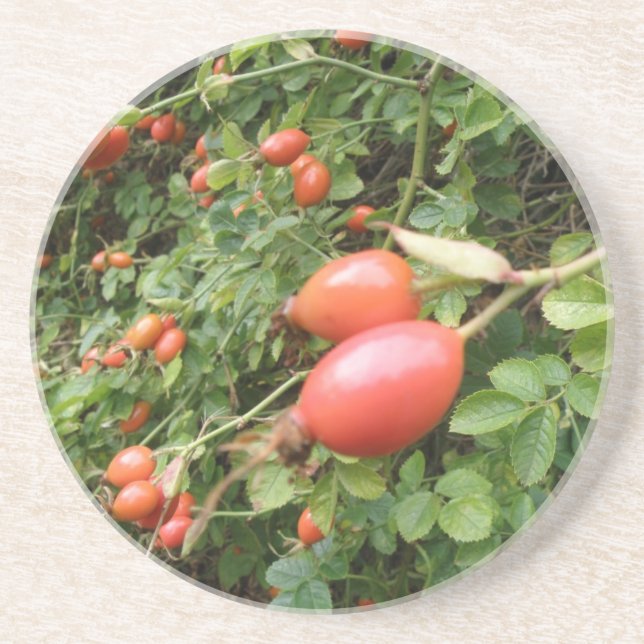 Posavasos Juicy Red Rose Hips Coasters (Frente)