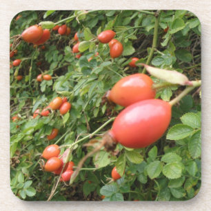 Posavasos Juicy Red Rose Hips Cork Coaster