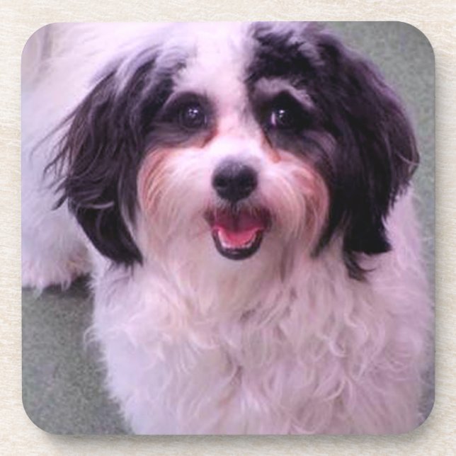 Posavasos K-Cee Sonrisas de perro trenzado (Frente)