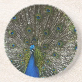 Posavasos Kauai Peacock
