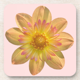 Posavasos Kelsey Annie Joy Dahlia, la flor Naranja asombrosa