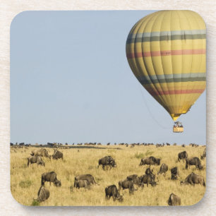 Posavasos Kenia, Masai Mara. Turistas montan globo aerostát