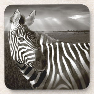 Posavasos Kenia. Negro y blanco de cebra y liso.