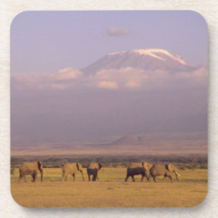 Posavasos Kenia: Parque Nacional Amboseli, Elefantes