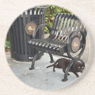 Posavasos Kitty en el parque