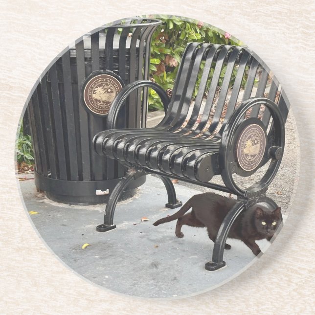 Posavasos Kitty en el parque (Frente)