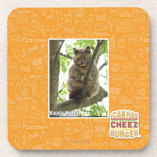 Posavasos Koala Kitteh (Frente)