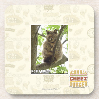Posavasos Koala Kitteh