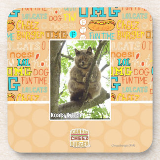 Posavasos Koala Kitteh