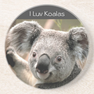 Posavasos Koala, koalas de I Luv