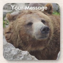 Posavasos Kodiak Bear