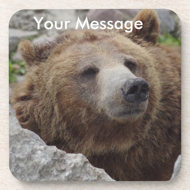 Posavasos Kodiak Bear (Frente)