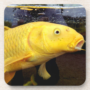 Posavasos Koi Carp Hard Plastic Coaster
