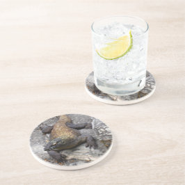 Posavasos Komodo Dragon in Rocky Light