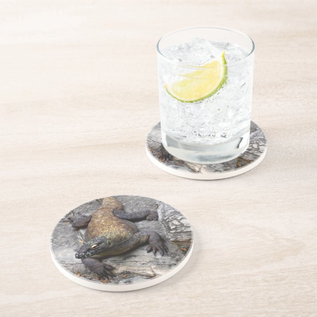 Posavasos Komodo Dragon in Rocky Light (Lado)