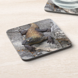 Posavasos Komodo Dragon on Rugged Stones