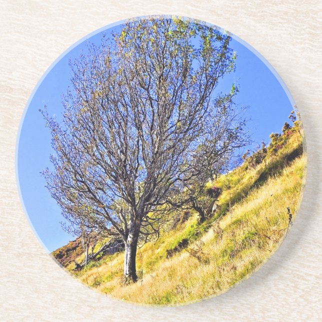 POSAVASOS L0NE TREE (Frente)