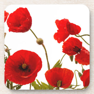 Posavasos La amapola roja floral florece la primavera blanca