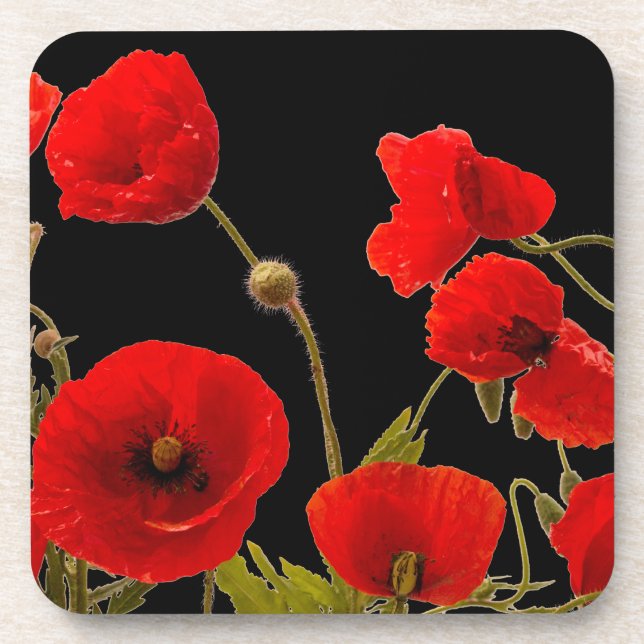 Posavasos La amapola roja floral florece la primavera negra (Frente)