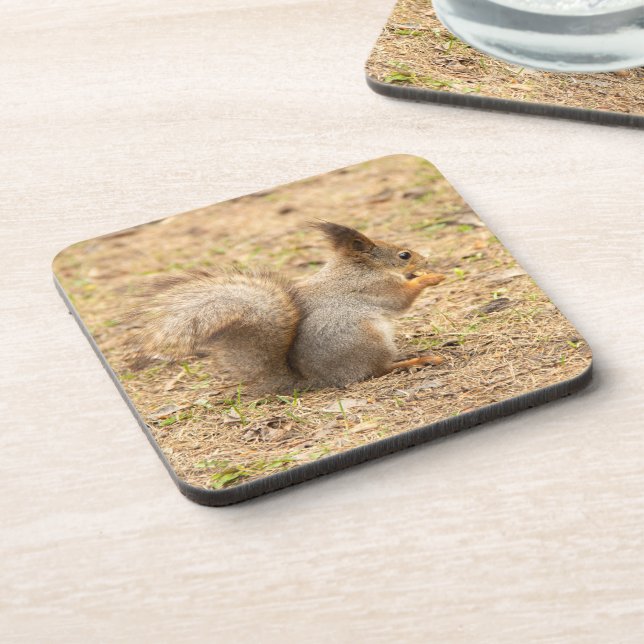 Posavasos La ardilla linda come una foto de nuez (Lado Izquierdo)