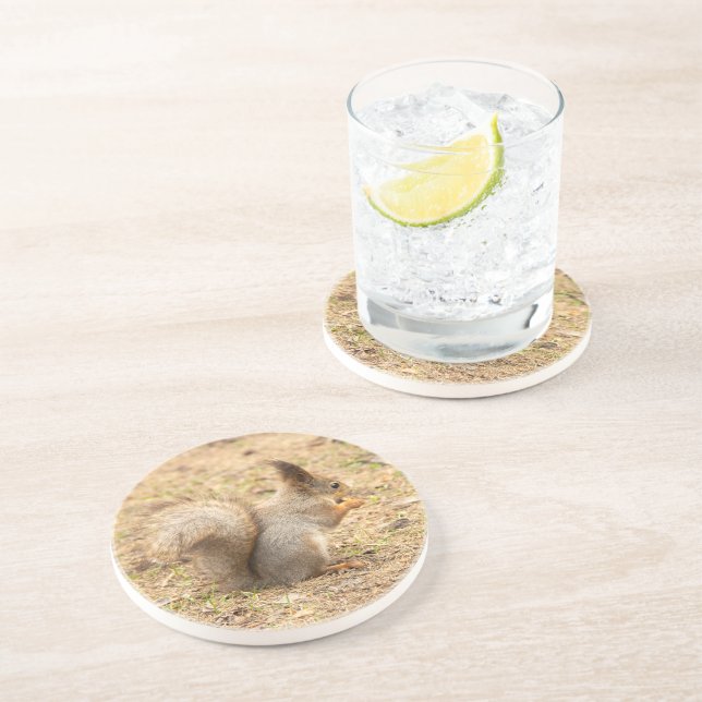 Posavasos La ardilla linda come una foto de nuez (Lado)