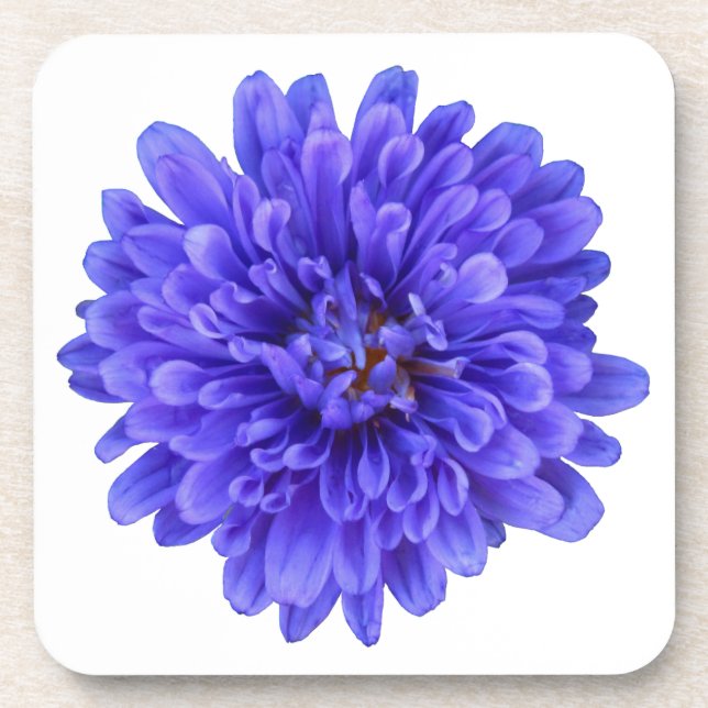 Posavasos La Bluette Coasters (Frente)
