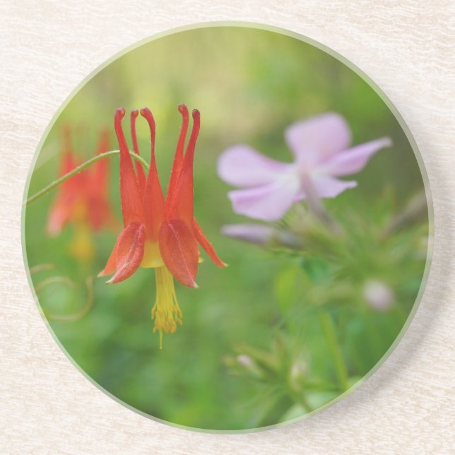 Posavasos La corona de la naturaleza (Frente)