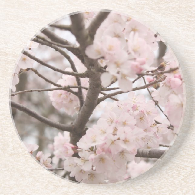 Posavasos La escoria del cerezo (Frente)