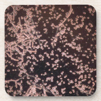 Posavasos la levadura 3D microscópica mojó el soporte