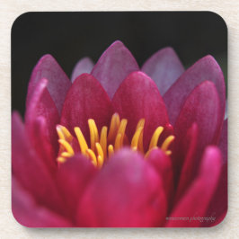 Posavasos La Lirio del Agua