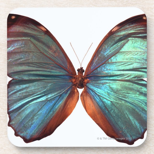 Posavasos La mariposa con las alas separó 2 (Frente)