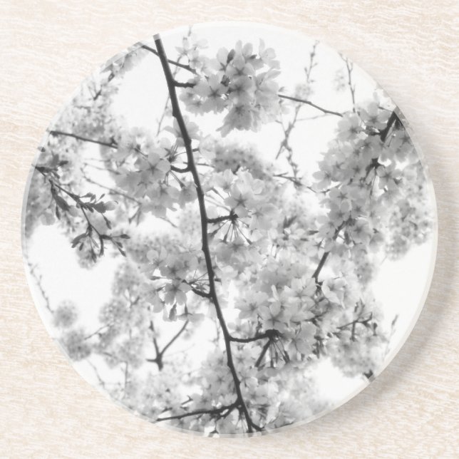 Posavasos La montaña rusa "B&W Cherry Blossoms" (Frente)