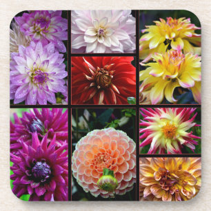Posavasos La montaña rusa con hermosas dahlias multicolores